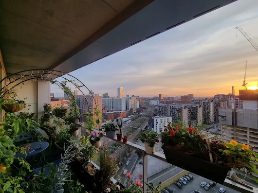 This image shows a panoramic view of a cityscape from a balcony. The skyline is visible in the distance, with high-rise buildings and skyscrapers. There is a variety of potted plants and greenery on the balcony, suggesting it is a urban garden or oasis.