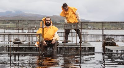 Cooking Sections portrait