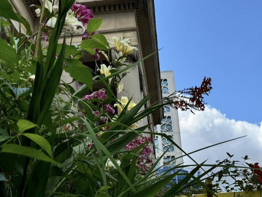 In the foreground colourful flowers and foliage. The flowers appear to be a mix of different varieties, including vibrant purple and yellow blooms. The background suggests this is a city street or urban setting, with a blue sky visible above.